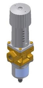 Клапан-регулятор давления WVFX 10 Клапаны / вентили #1